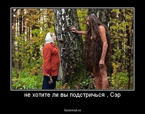 не хотите ли вы подстричься , Сэр