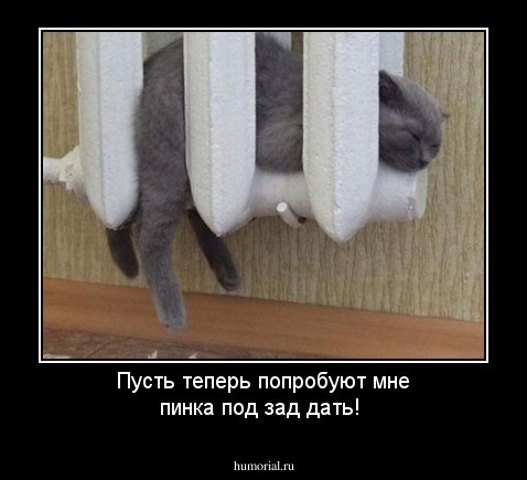 Пусть теперь попробуют мне пинка под зад дать!