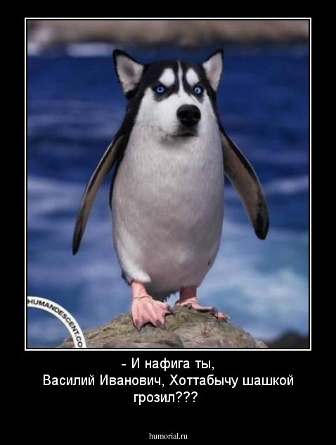 - И нафига ты, Василий Иванович, Хоттабычу шашкой грозил???