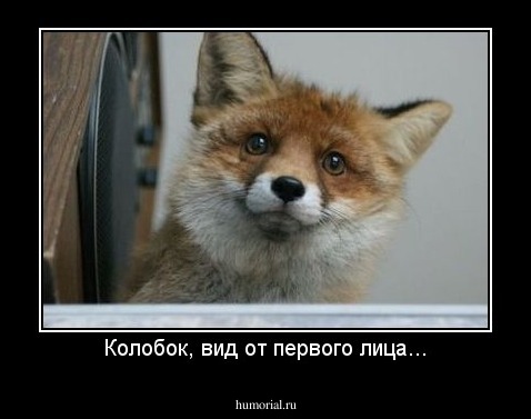 Колобок, вид от первого лица...