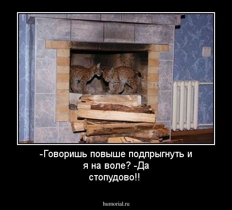 -Говоришь повыше подпрыгнуть и я на воле? -Да стопудово!!