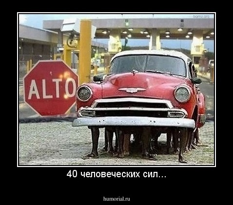 40 человеческих сил...