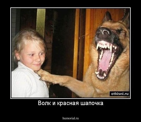Волк и красная шапочка