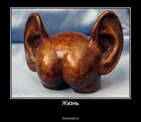 Жизнь