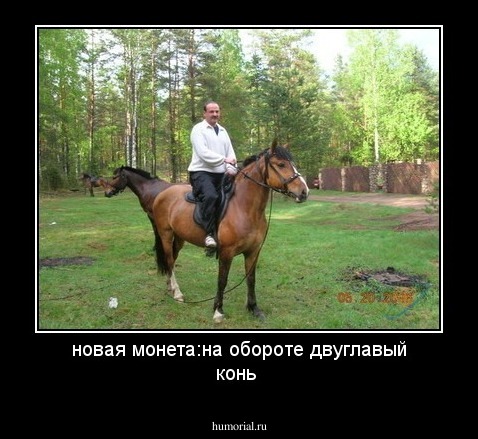 новая монета:на обороте двуглавый конь