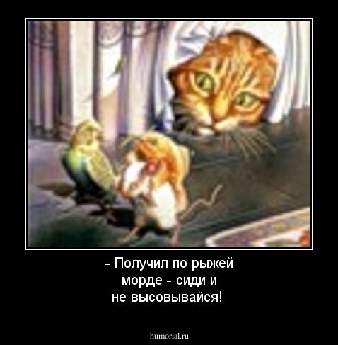 - Получил по рыжей морде - сиди и не высовывайся!