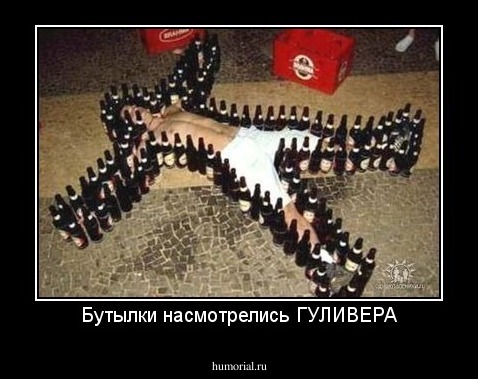 Бутылки насмотрелись ГУЛИВЕРА