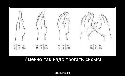 Именно так надо трогать сиськи