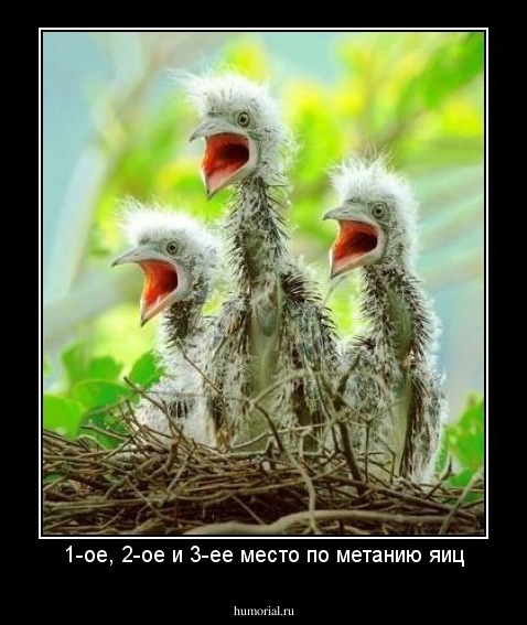 1-ое, 2-ое и 3-ее место по метанию яиц