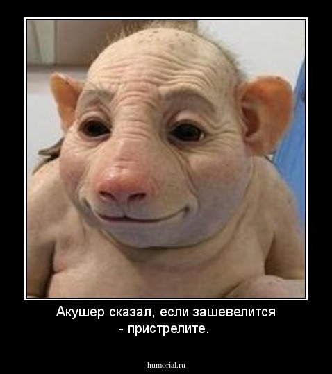 Акушер сказал, если зашевелится - пристрелите.
