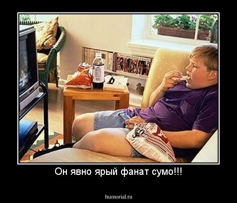 Он явно ярый фанат сумо!!!
