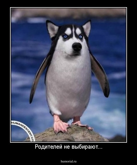 Родителей не выбирают...