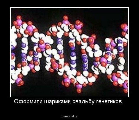 Оформили шариками свадьбу генетиков.