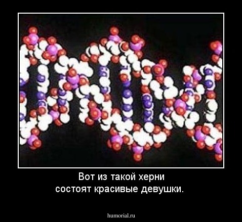 Вот из такой херни состоят красивые девушки.