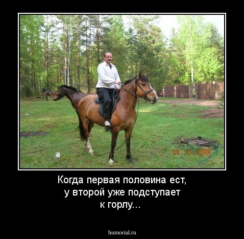 Когда первая половина ест, у второй уже подступает к горлу... 