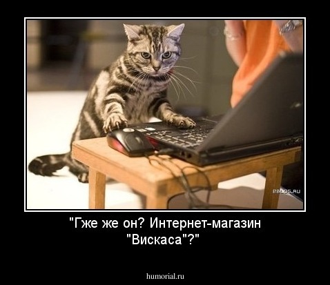 "Гже же он? Интернет-магазин "Вискаса"?"