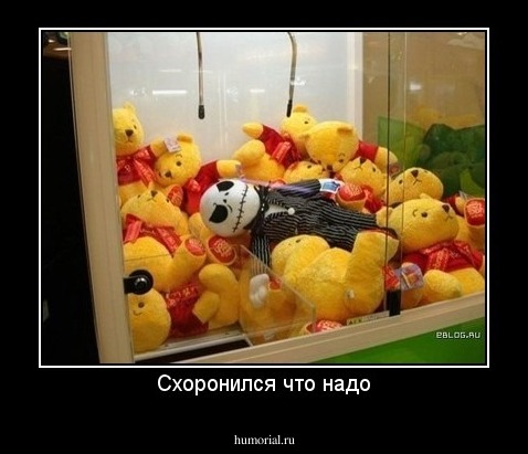 Схоронился что надо