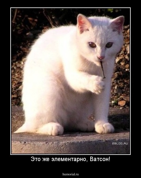 Это же элементарно, Ватсон!