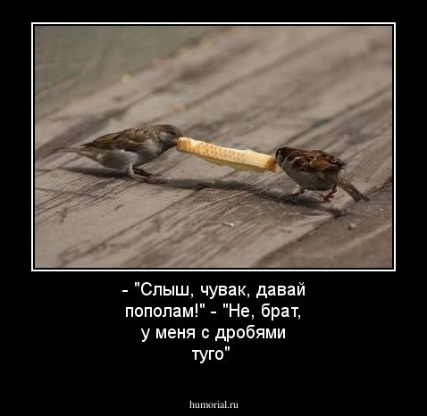 - "Слыш, чувак, давай пополам!"
- "Не, брат, у меня с дробями туго"