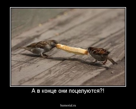 А в конце они поцелуются?!