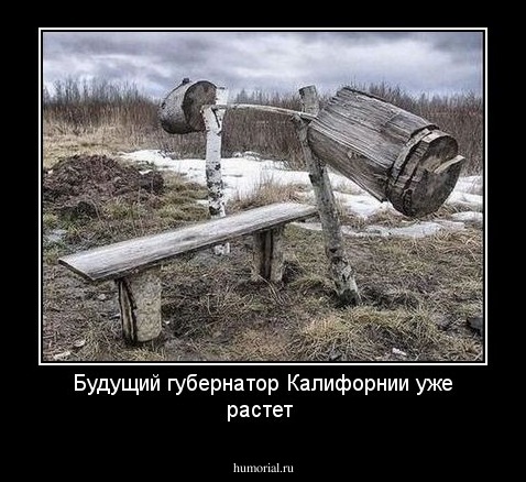 Будущий губернатор Калифорнии уже растет