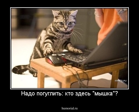 Надо погуглить: кто здесь "мышка"?