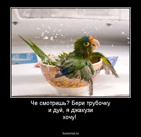 Че смотришь? Бери трубочку и дуй, я джакузи хочу!