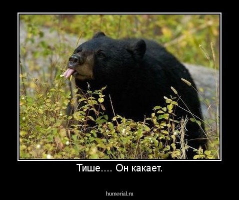Тише.... Он какает.