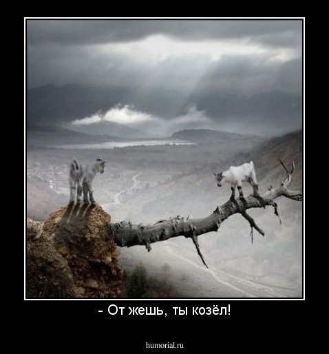 - От жешь, ты козёл!