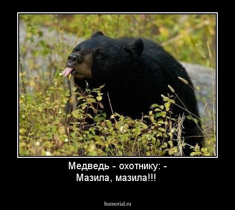 Медведь - охотнику:
 - Мазила, мазила!!!