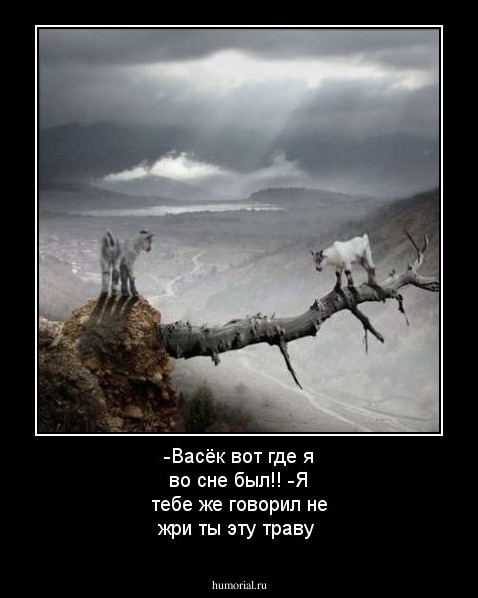 -Васёк вот где я во сне  был!!                 
-Я тебе же говорил не жри ты эту траву