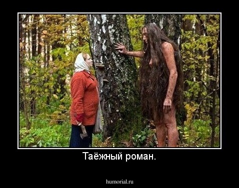 Таёжный роман.