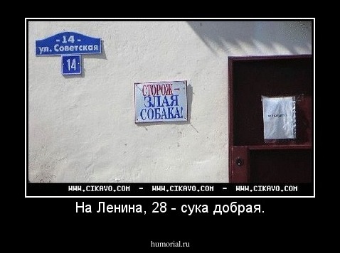 На Ленина, 28 - сука добрая.