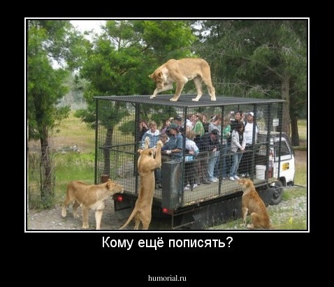Кому ещё пописять?