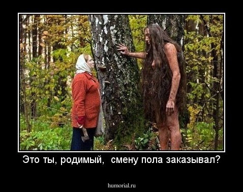 Это ты, родимый,  смену пола заказывал?
