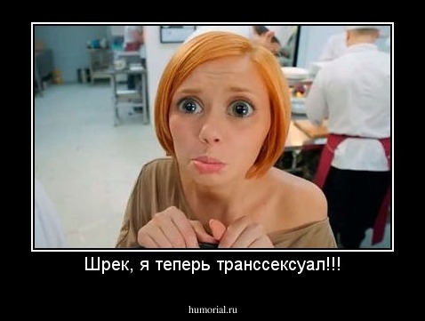 Шрек, я теперь транссексуал!!!