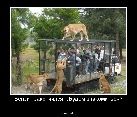 Бензин закончился...Будем знакомиться?