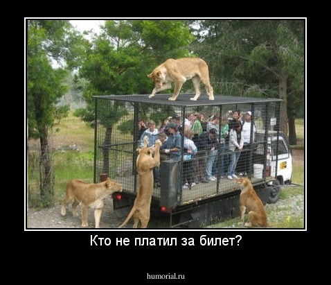 Кто не платил за билет?