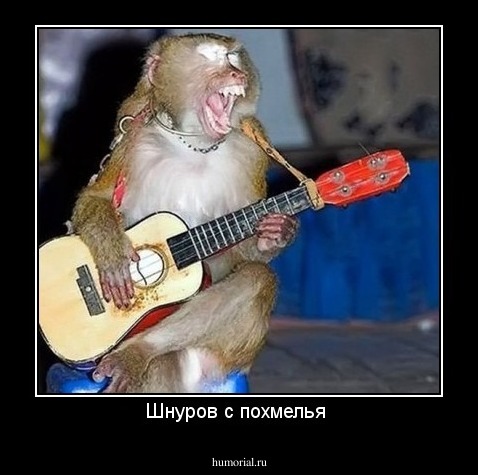 Шнуров с похмелья 