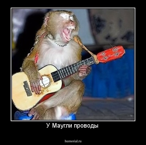 У Маугли проводы 