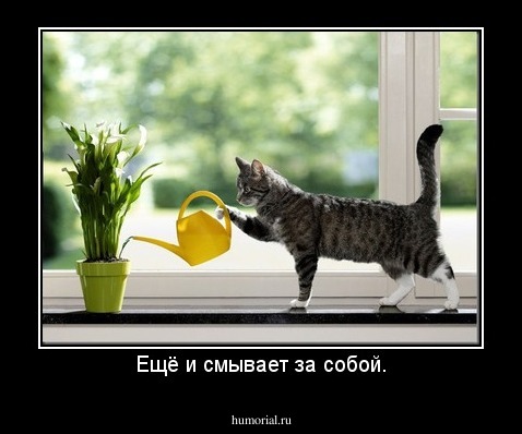Ещё и смывает за собой.