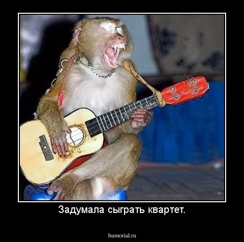 Задумала сыграть квартет.