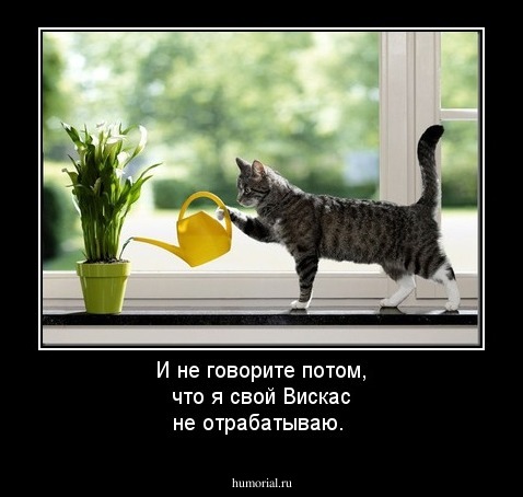 И не говорите потом, что я свой Вискас не отрабатываю.