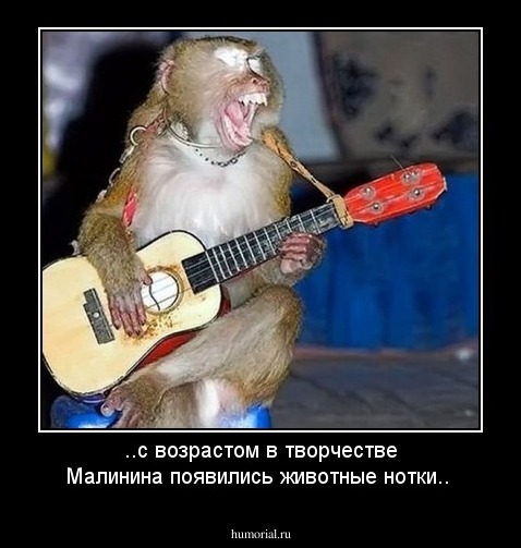 ..с возрастом в творчестве Малинина появились животные нотки..