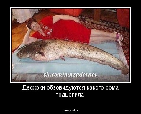 Деффки обзовидуются какого сома подцепила