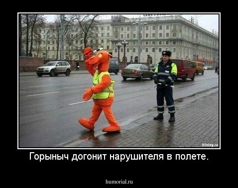Горыныч догонит нарушителя в полете.