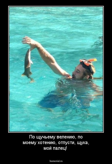 По щучьему велению, по моему хотению, отпусти, щука, мой палец!