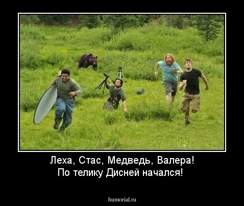Леха, Стас, Медведь, Валера! По телику Дисней начался! 