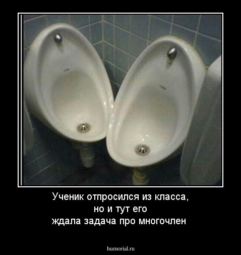 Ученик отпросился из класса, но и тут его ждала задача про многочлен