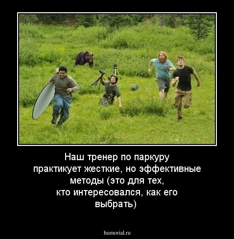 Наш тренер по паркуру практикует жесткие, но эффективные методы

(это для тех, кто интересовался, как его выбрать)